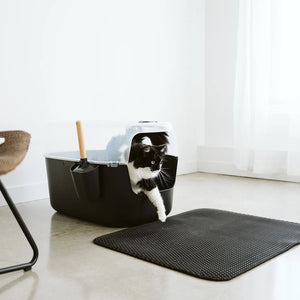 KlaraClean Kattsandsmatta med Dubbel Lager | Håller hemmet rent & tassarna glada