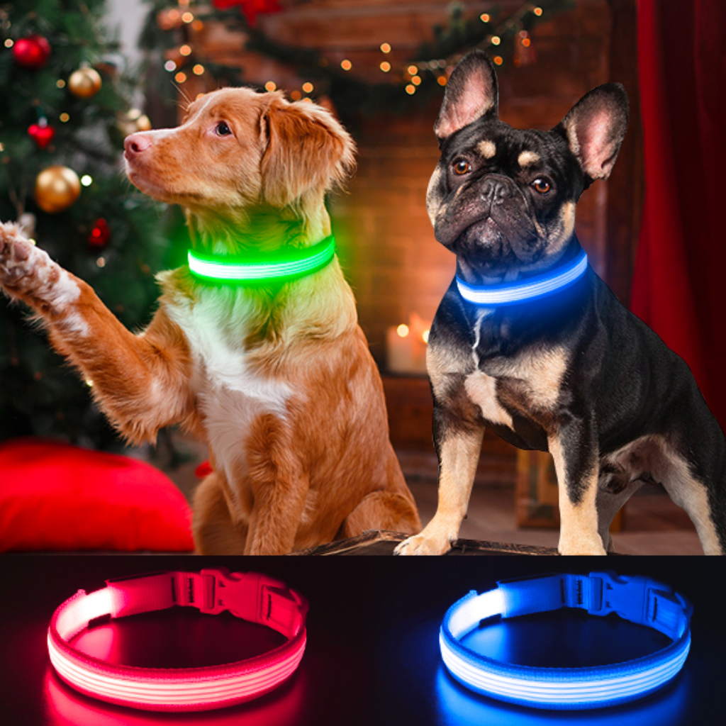 Självlysande Hundhalsband med Säkerhetslampa för Husdjur | Skydd och säker promenad med din hund på natten