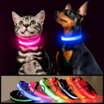 Självlysande Hundhalsband med Säkerhetslampa för Husdjur | Skydd och säker promenad med din hund på natten