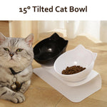 Cat Food and Drinking Bowl