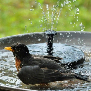 Solar Waterfountain